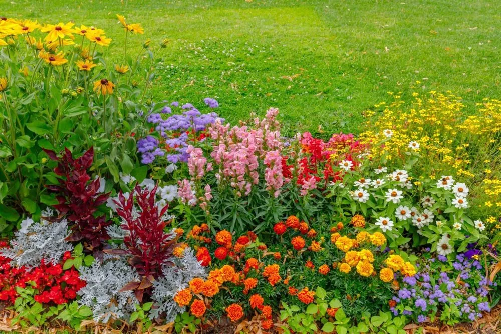 Expert lawn care service experts serving Rio Rancho, NM - H L Services