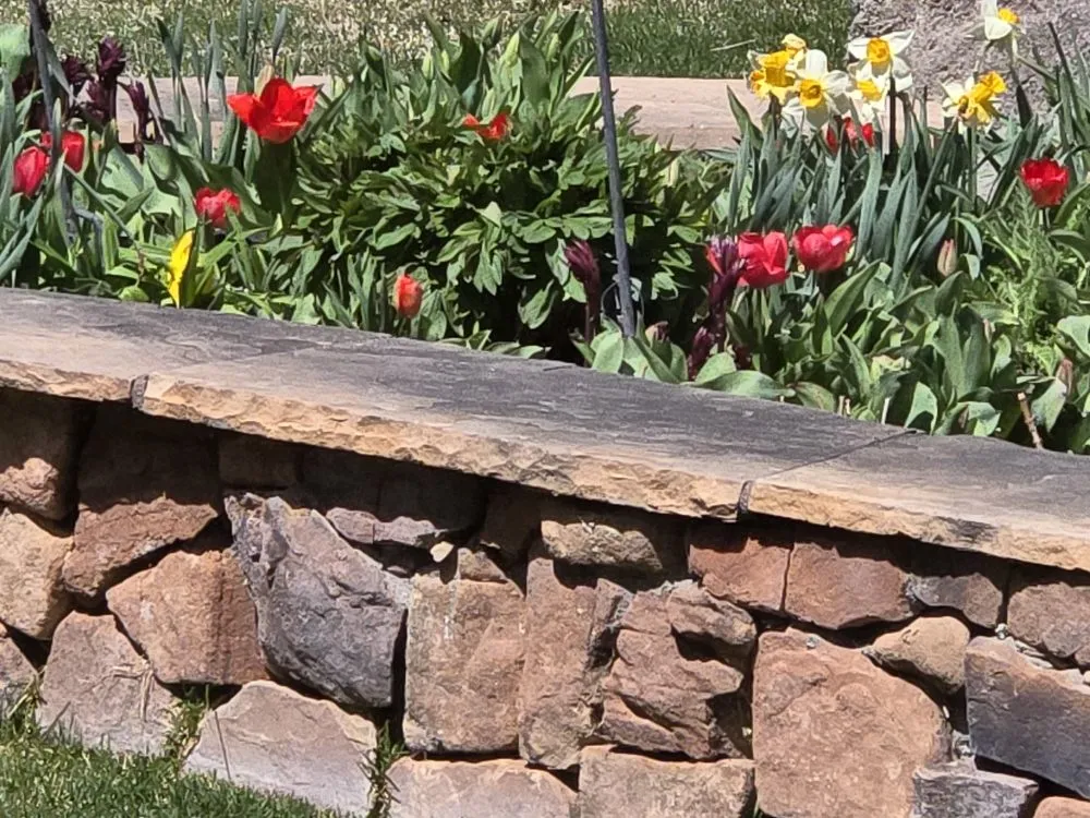 Top-rated landscape installation experts serving Rio Rancho, NM - H L Services