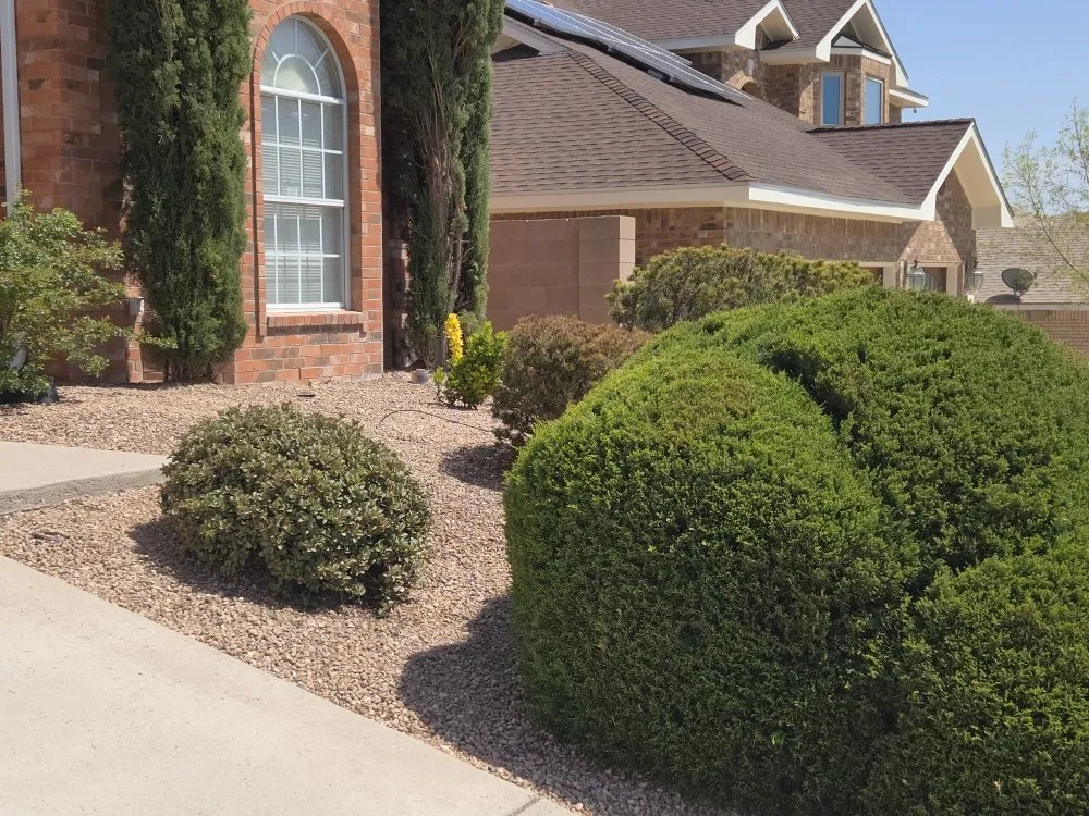 Custom landscaping services in Rio Rancho, NM by H L Services