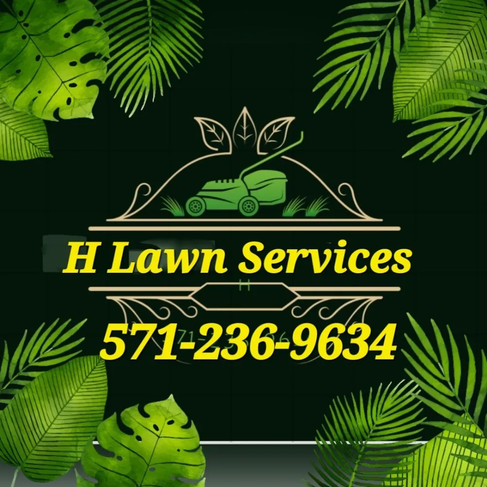 Custom yard cleanup service experts serving Byron, GA - H Lawn Services