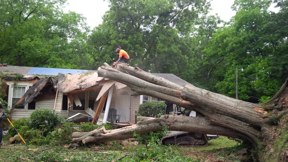 Professional lawn care service experts serving Athens, GA - H Lockett & Assoc Tree service