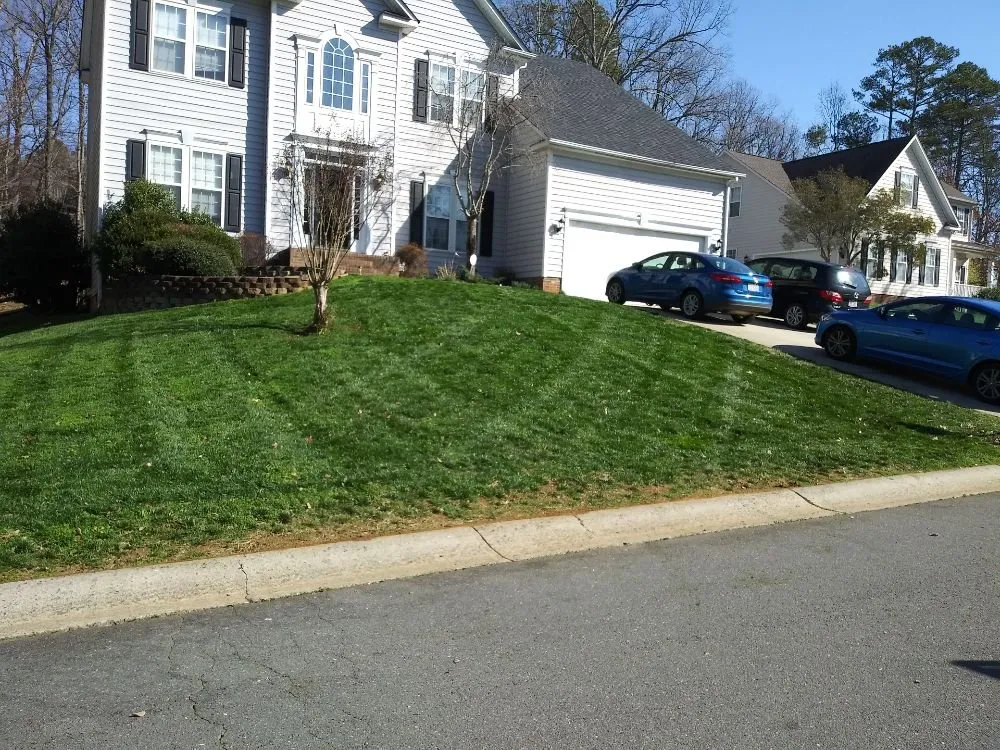 Local lawn care service for year-round maintenance in Charlotte, NC by H M Landscaping