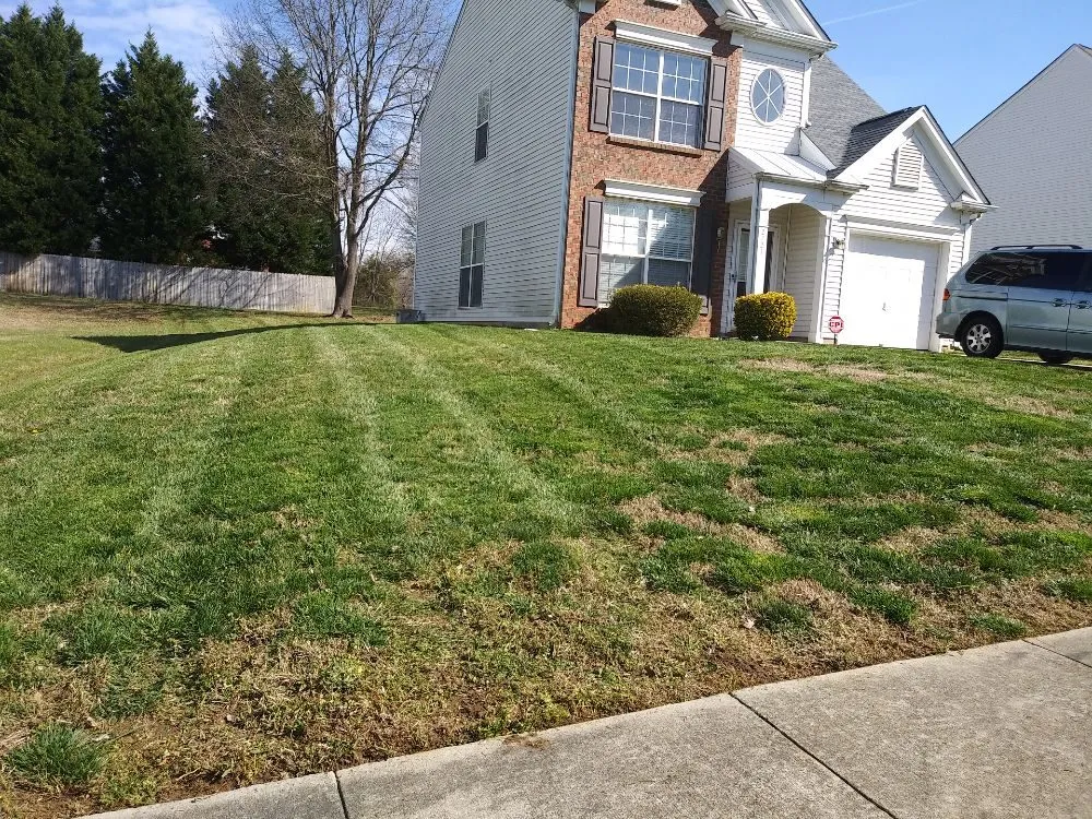 Custom landscape installation for beautiful yards in Charlotte, NC by H M Landscaping