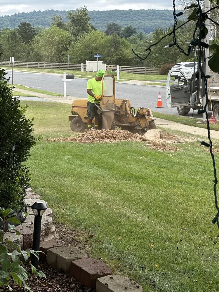 Professional lawn mowing service for outdoor upgrades across Fleetwood, PA - H M Lawn Tree Service