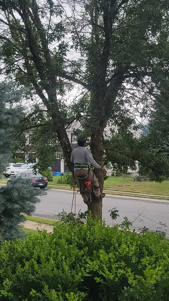 Reliable landscaping services in Fleetwood, PA by H M Lawn Tree Service