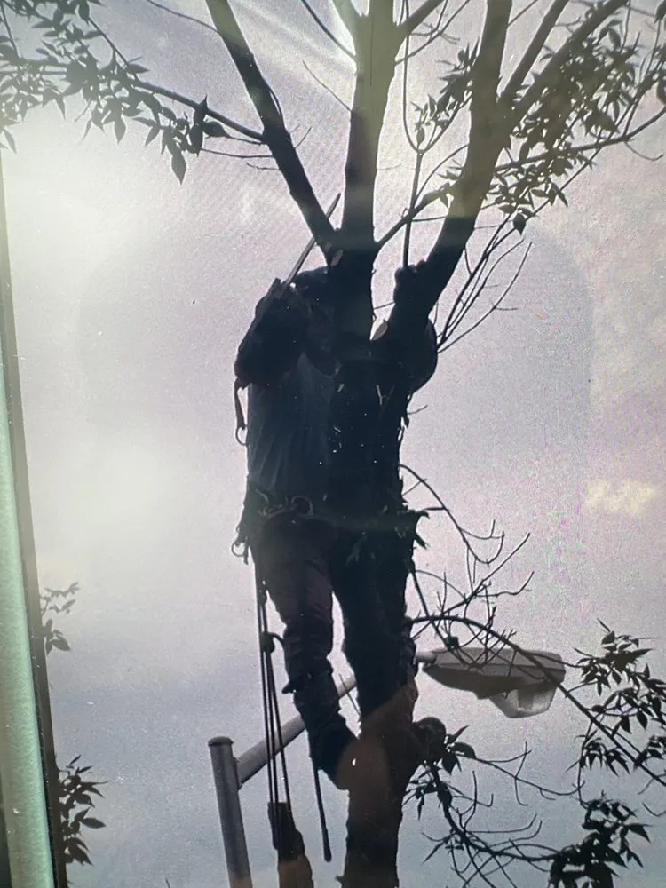 Expert yard maintenance in Fleetwood, PA - H M Lawn Tree Service