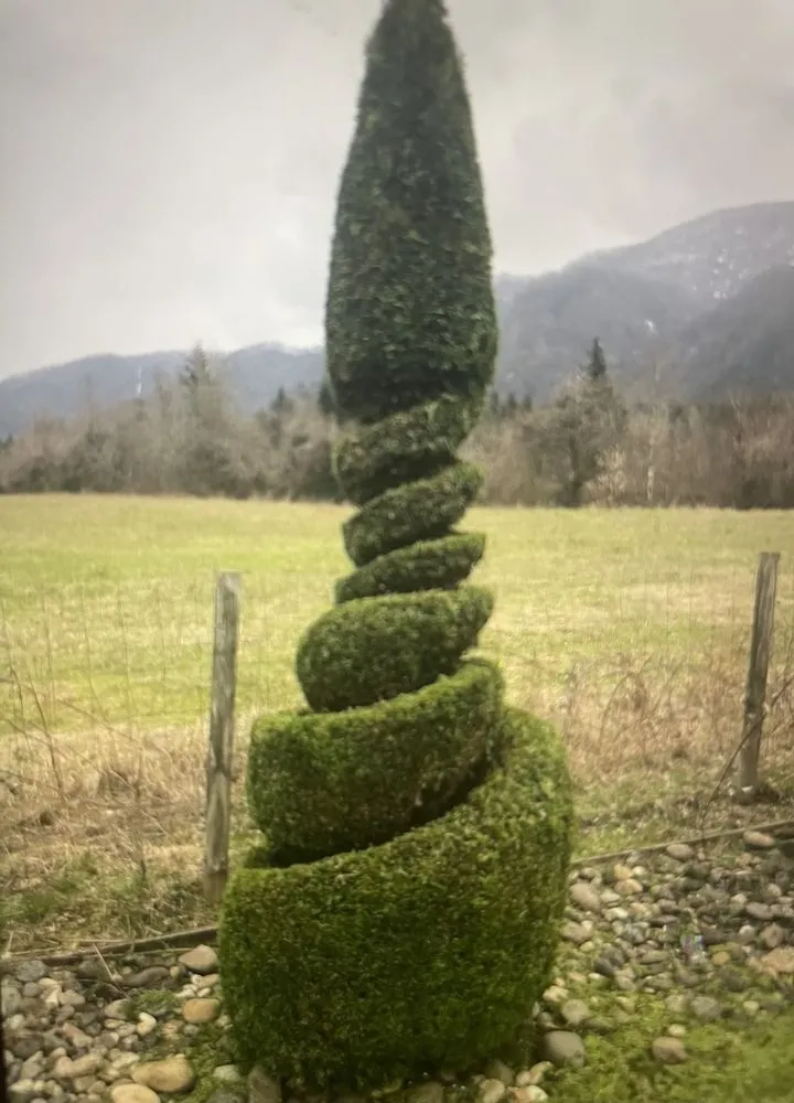 Trusted yard maintenance near you in Fairview, OR by H M Power