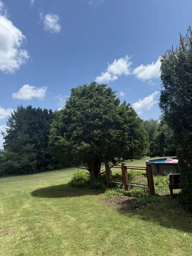 Trusted residential landscaping for outdoor upgrades across Pottsville, PA - H Moore Landscaping & Excavation