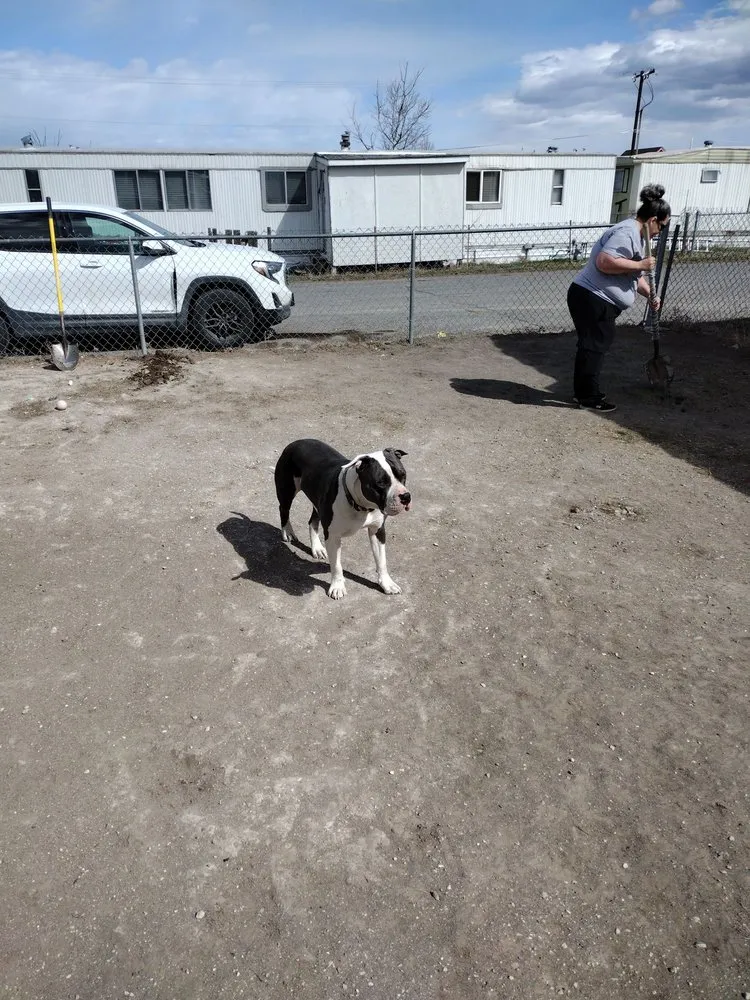 Expert outdoor landscaping experts serving East Helena, MT - H N J Handyman and Hauling