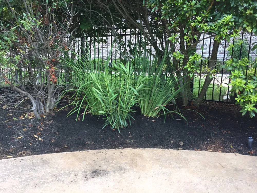 Professional outdoor landscaping in College Station, TX by H O T Lawns