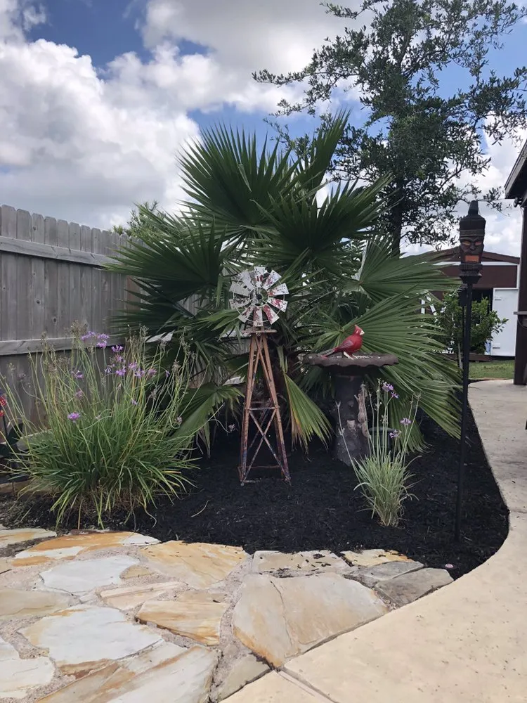 Reliable landscaping services for year-round maintenance across College Station, TX - H O T Lawns