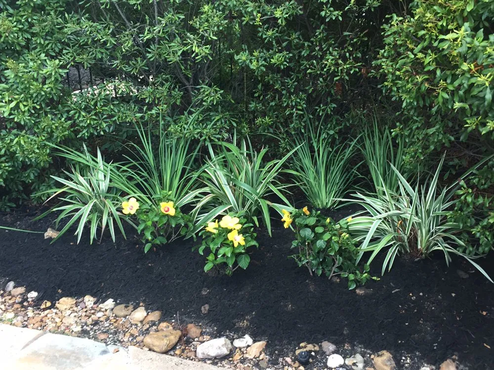 Top-rated yard maintenance in College Station, TX - H O T Lawns