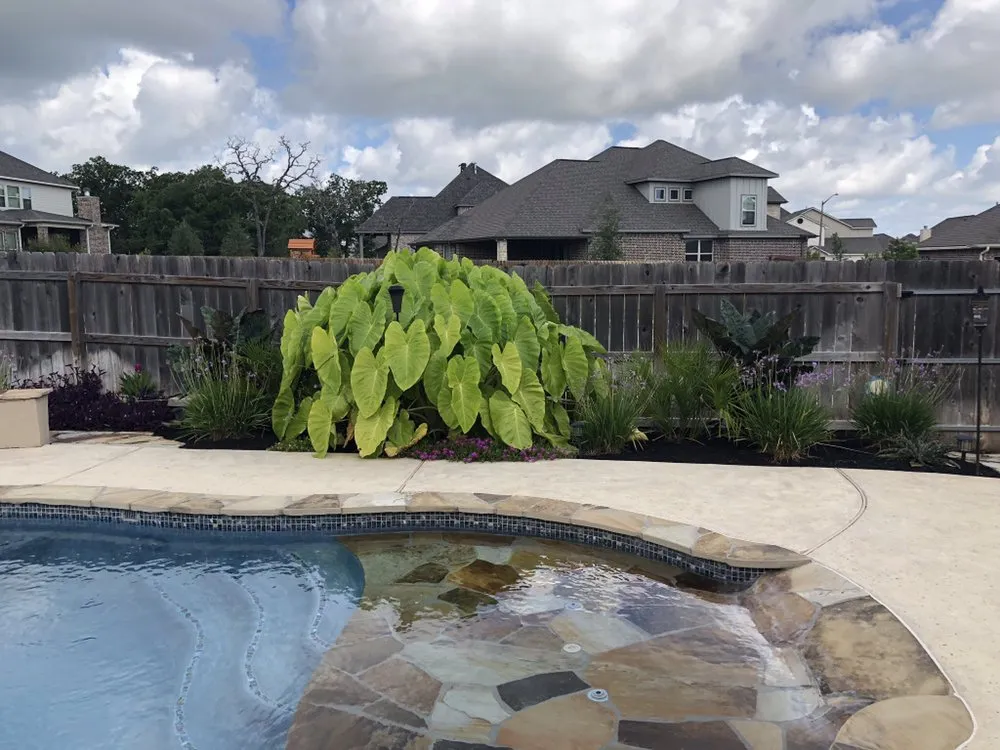 Local landscape design in College Station, TX - H O T Lawns