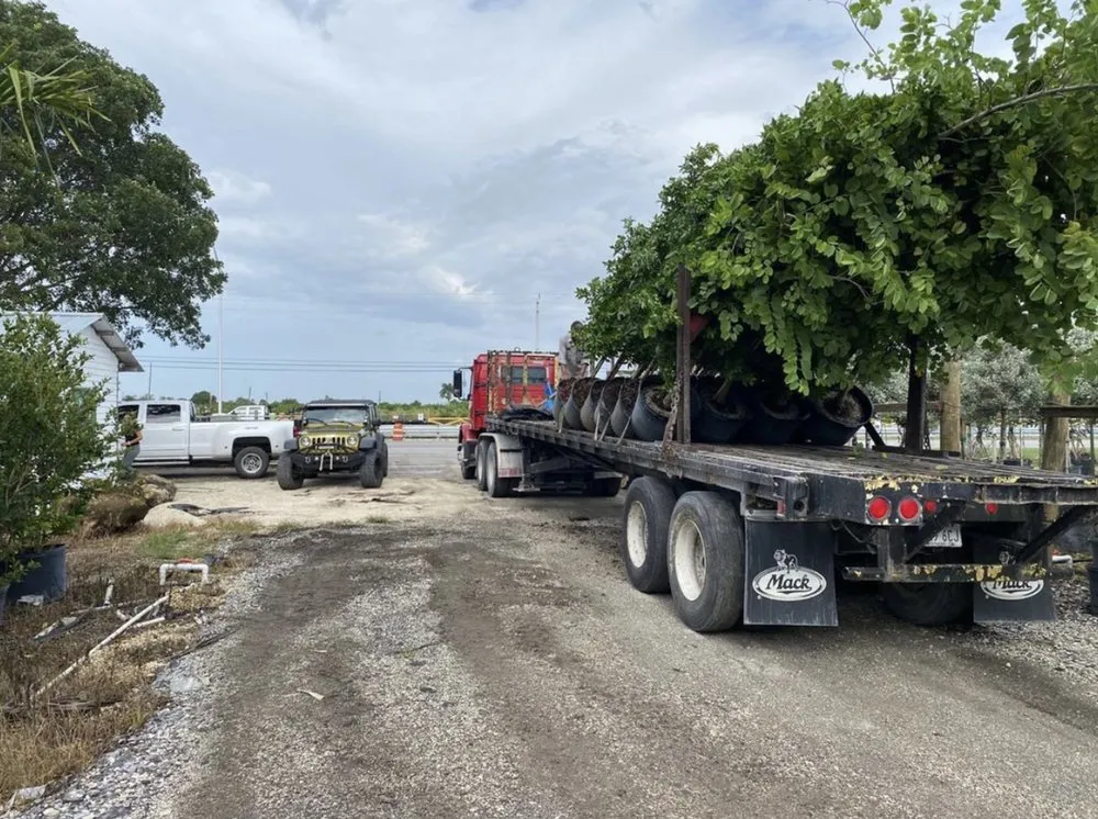 Reliable garden landscaping for residential properties across Homestead, FL - H Olguin Nursery and Landscaping