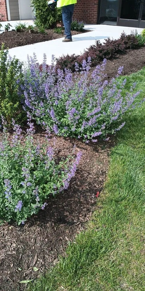 Local landscape installation for outdoor upgrades in Newark, NJ by H Omar Pro Landscaping