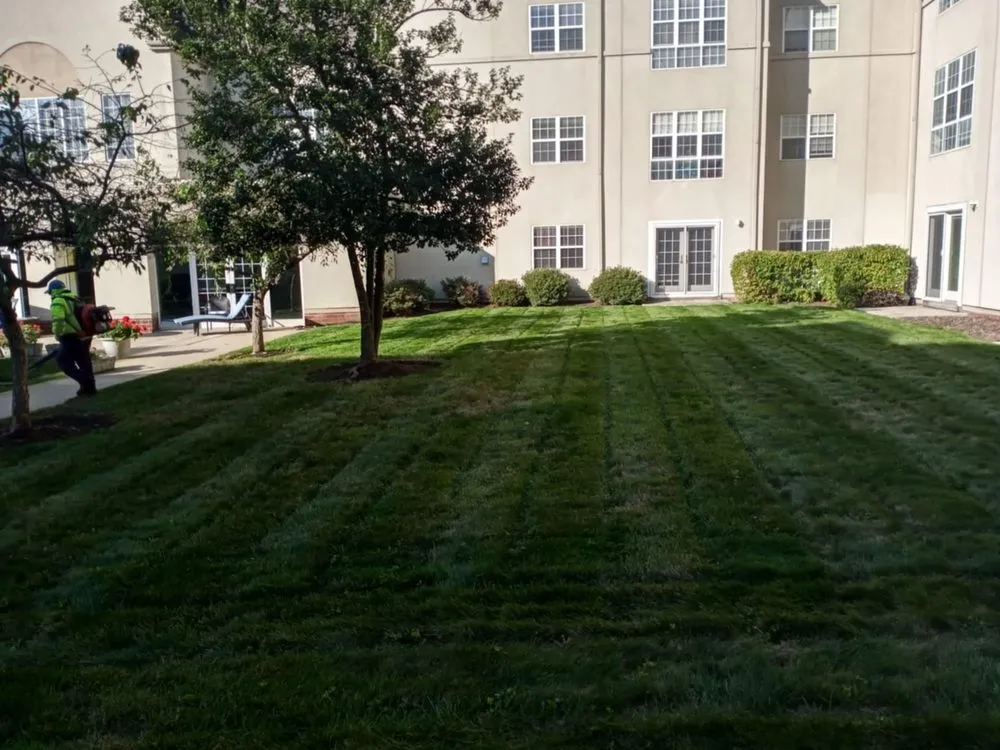 Trusted landscape installation near you in Newark, NJ by H Omar Pro Landscaping