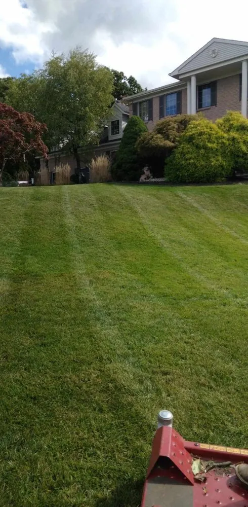 Professional yard maintenance experts serving Newark, NJ - H Omar Pro Landscaping