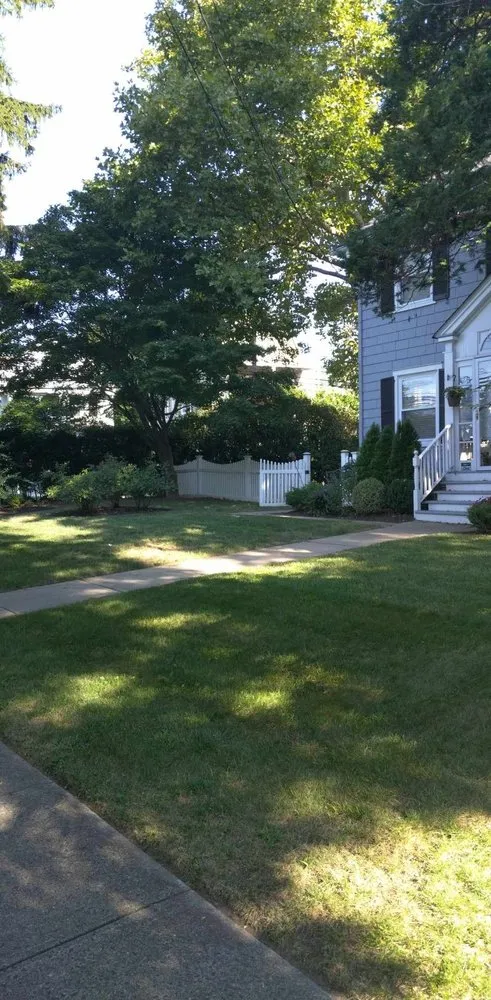 Local garden landscaping in Newark, NJ - H Omar Pro Landscaping