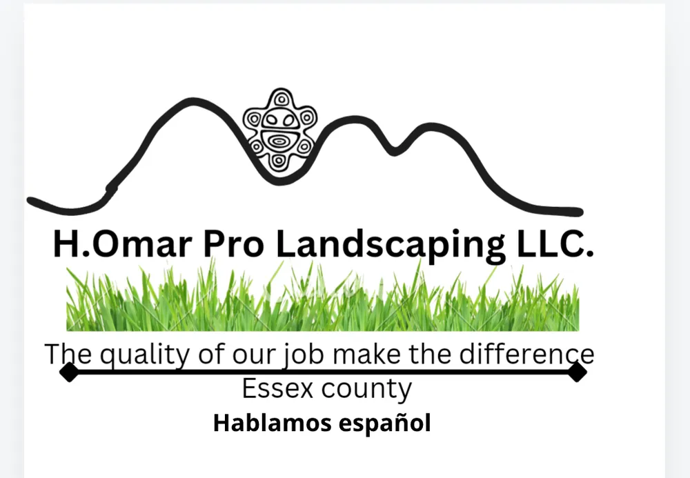 Affordable outdoor landscaping for beautiful yards across Newark, NJ - H Omar Pro Landscaping