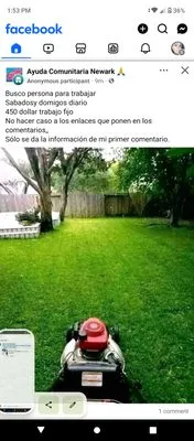 H Omar Pro Landscaping