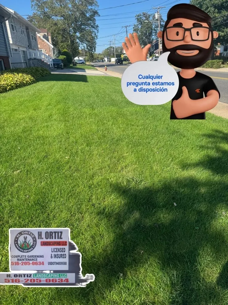 Top-rated garden landscaping for homes across Roosevelt, NY - H Ortiz Landscaping