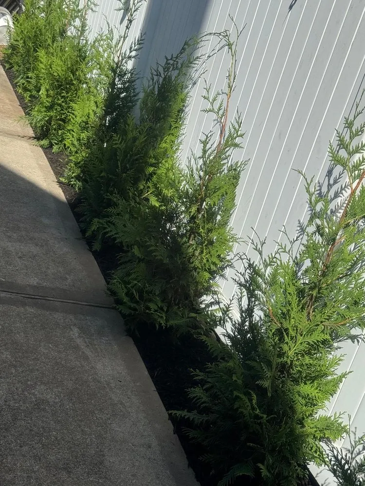 Affordable landscape design for beautiful yards in Roosevelt, NY by H Ortiz Landscaping