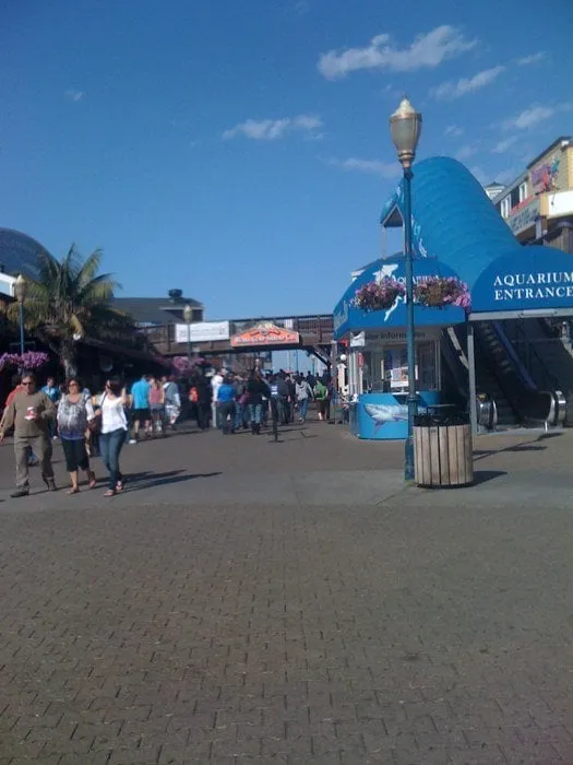 Affordable lawn mowing service with custom design across Roosevelt, NY - H Ortiz Landscaping