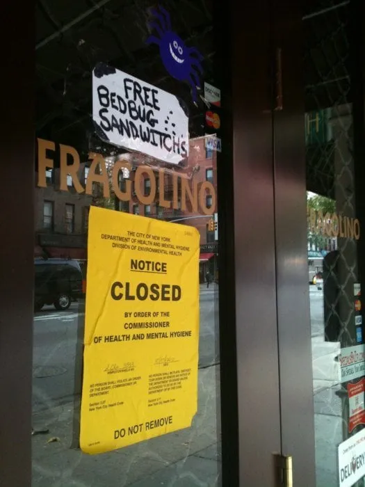 Expert landscaping services experts serving Roosevelt, NY - H Ortiz Landscaping