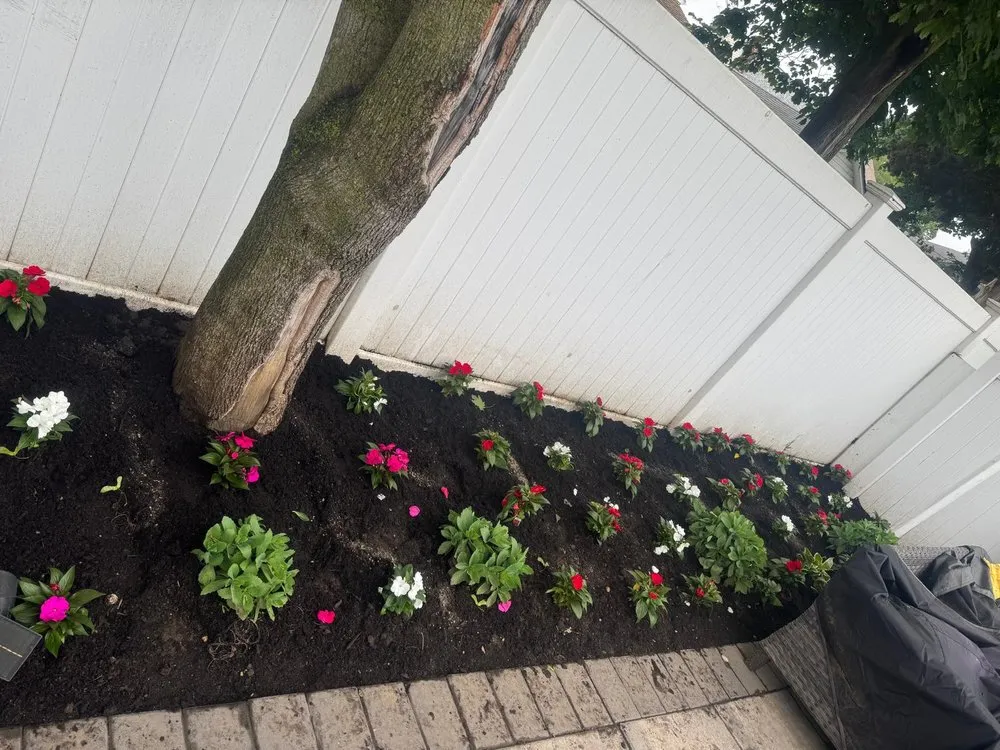 Professional yard cleanup service in Roosevelt, NY by H Ortiz Landscaping