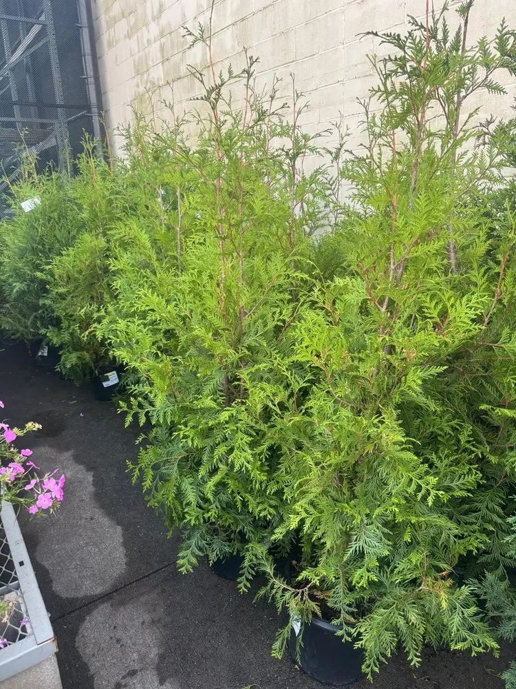 Reliable landscape installation in Roosevelt, NY by H Ortiz Landscaping