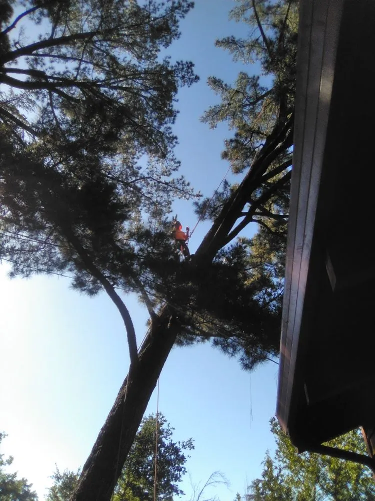 Top-rated outdoor landscaping in Antioch, CA - H R Handyman services