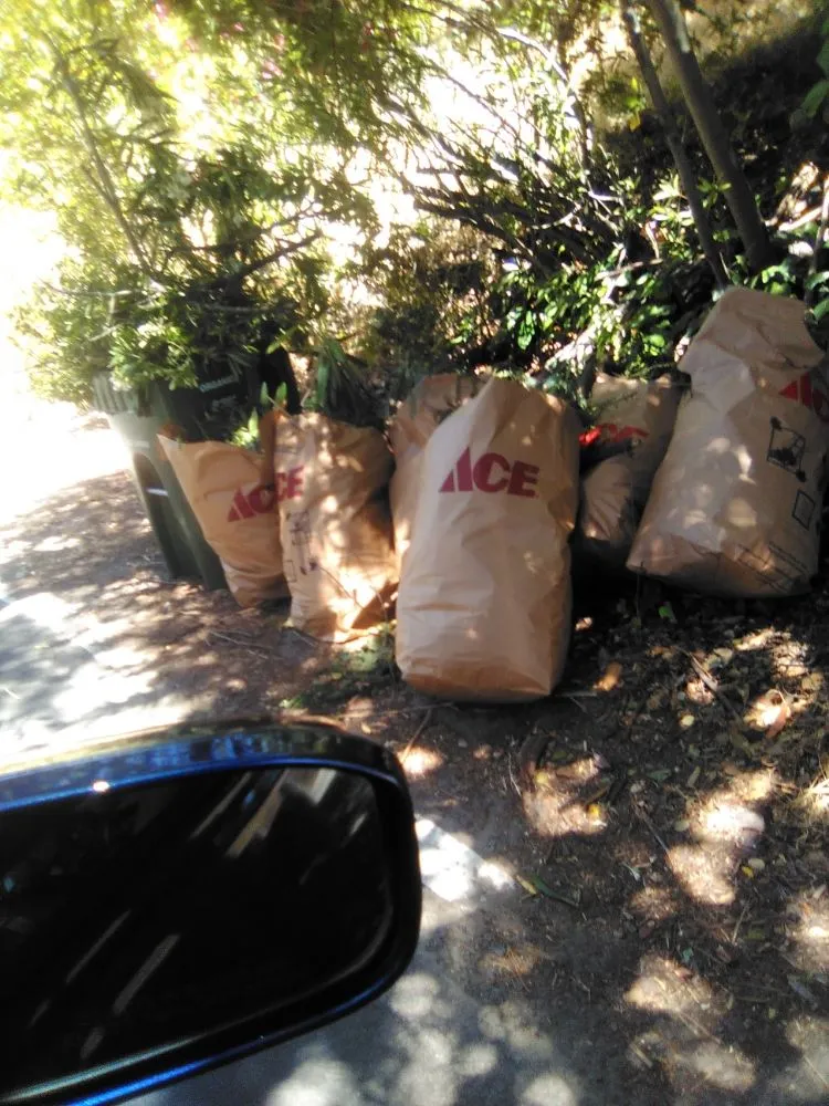 Affordable residential landscaping in Antioch, CA by H R Handyman services