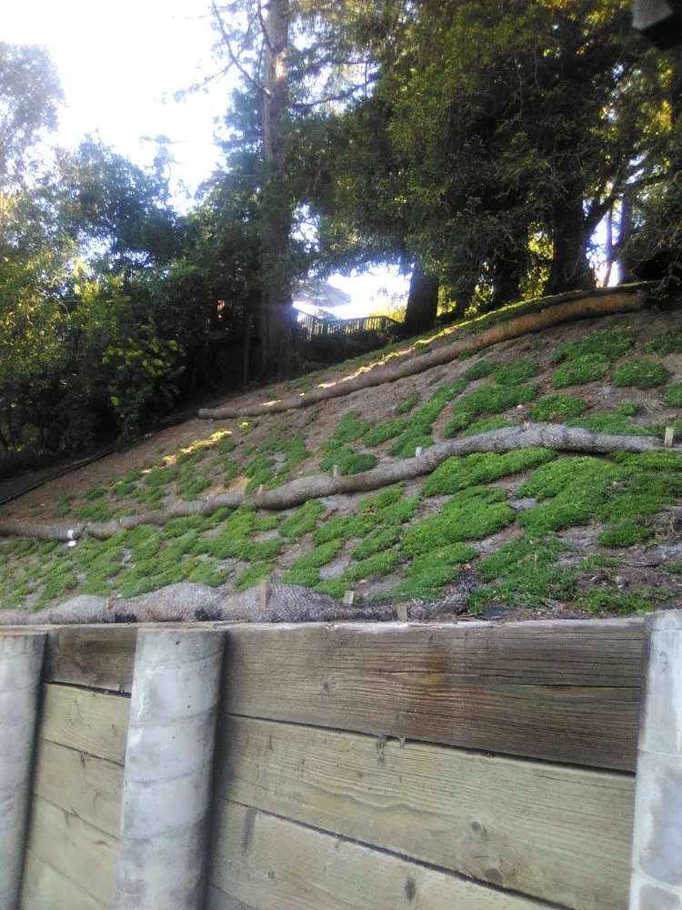 Affordable garden landscaping in Antioch, CA by H R Handyman services