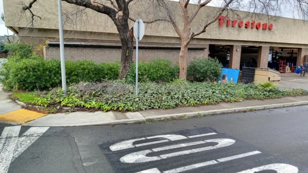 Affordable yard maintenance for beautiful yards across Antioch, CA - H R Handyman services