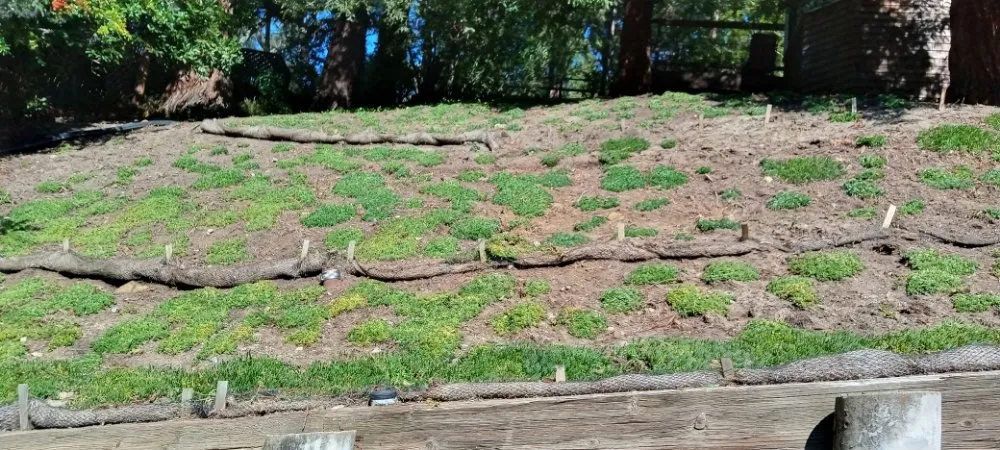 Local outdoor landscaping experts serving Antioch, CA - H R Handyman services