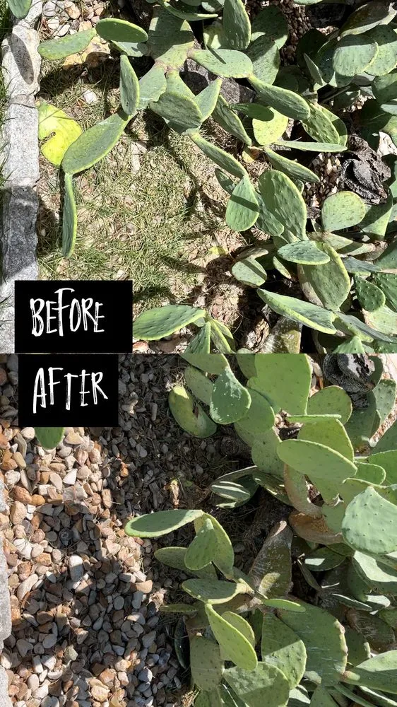 Professional landscape installation in Austin, TX - H S Services