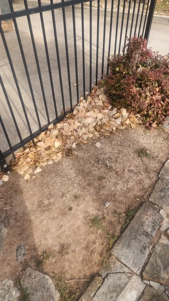 Professional outdoor landscaping for year-round maintenance in Lawton, OK by H Seven Services