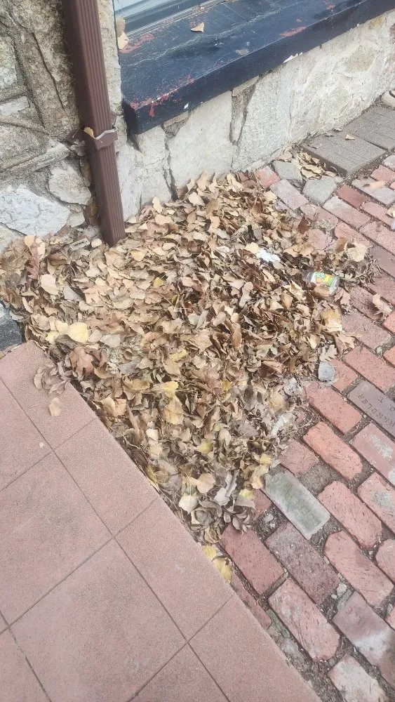 Affordable residential landscaping in Lawton, OK by H Seven Services