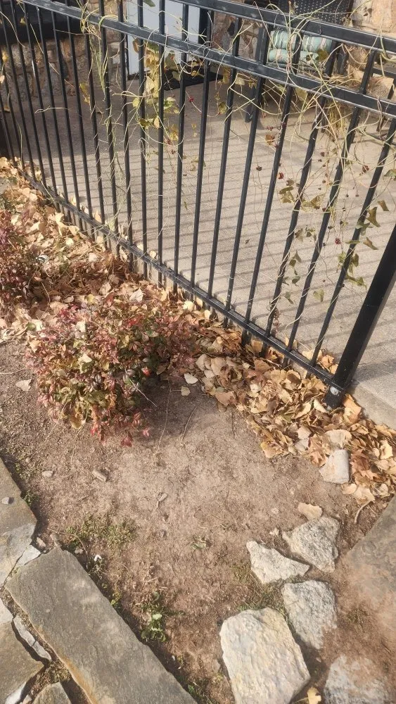 Affordable lawn care service in Lawton, OK - H Seven Services