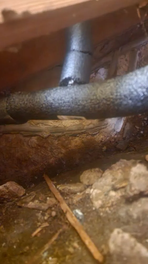 Professional residential landscaping experts serving Lawton, OK - H Seven Services