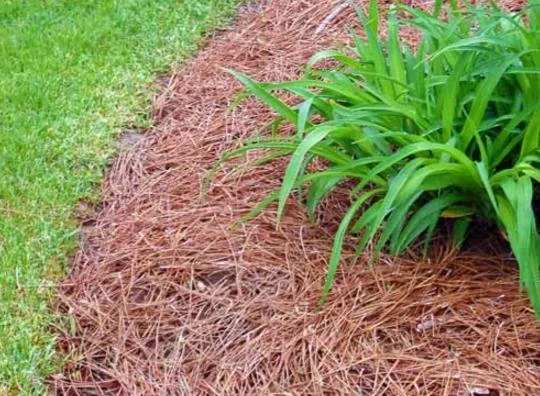 Top-rated yard maintenance in Grass Lake, MI by H Sullivan Services