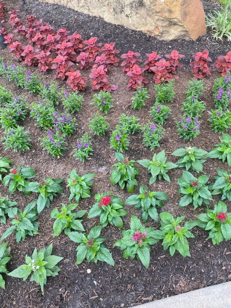 Local landscape installation experts serving Plantersville, TX - H Town Landscaping