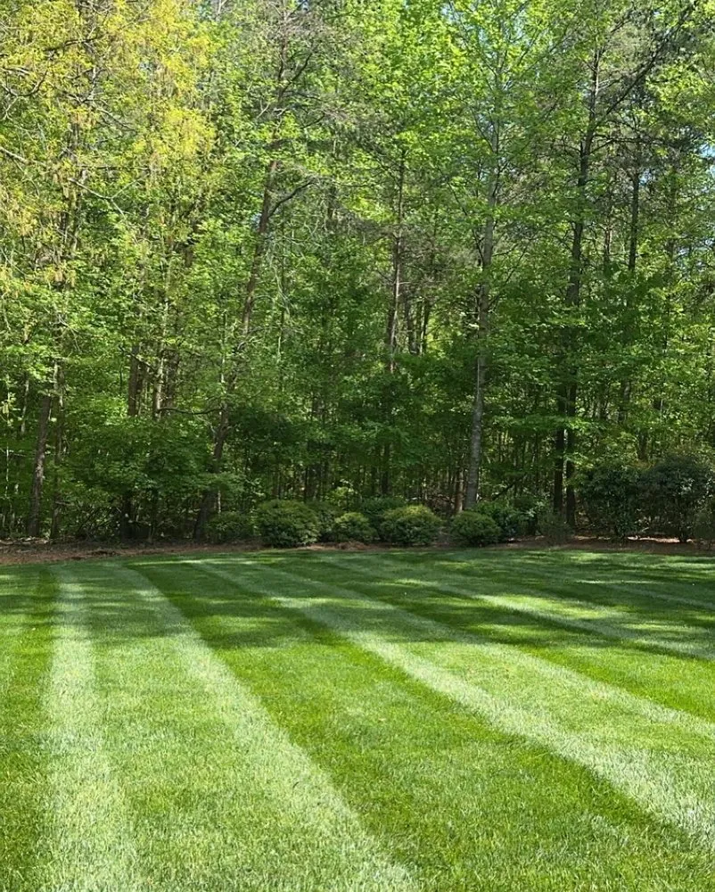 Affordable lawn care service in Gainesville, GA - H1 Lawn & Landscaping