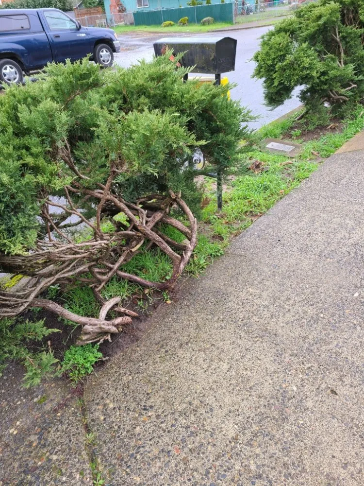 Expert outdoor landscaping in Portland, OR - H2 Lands Maintenance