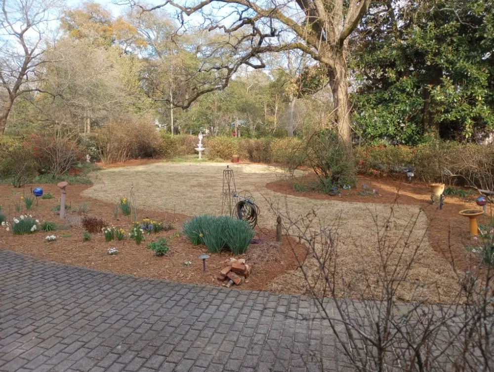 Trusted landscaping services for year-round maintenance across North Augusta, SC - H2-OH Irrigation & Landscape Installation
