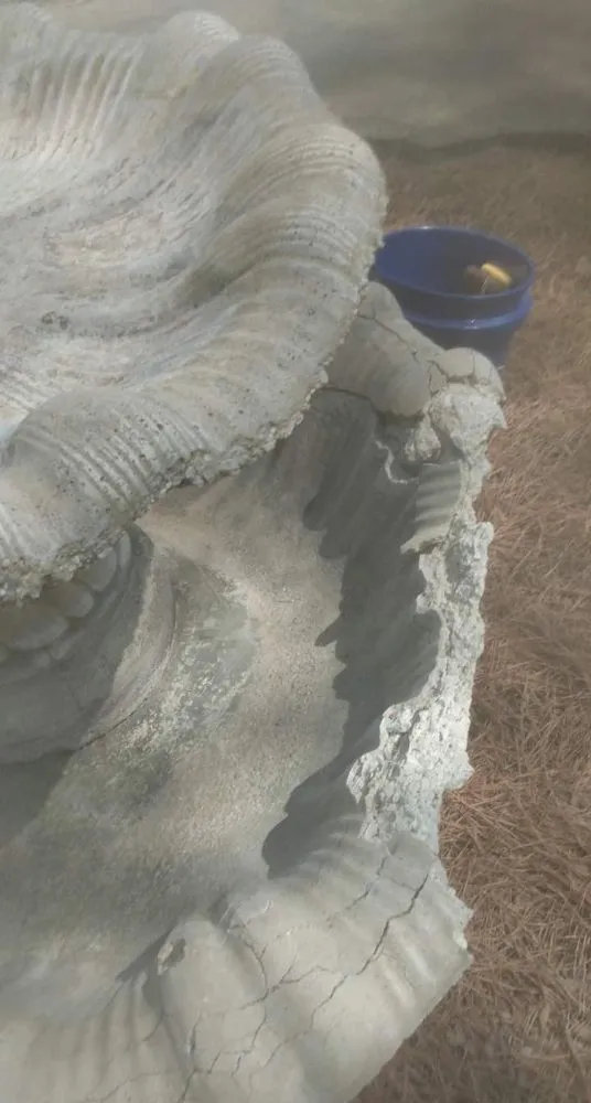 Top-rated landscape design for outdoor upgrades in North Augusta, SC by H2-OH Irrigation & Landscape Installation