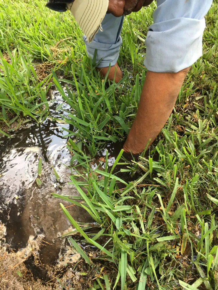 Local outdoor landscaping for beautiful yards across Sarasota, FL - H2GROW Irrigation and Landscape Solutions