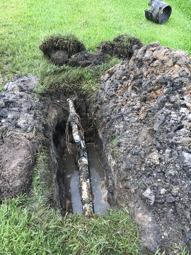 Top-rated garden landscaping in Sarasota, FL - H2GROW Irrigation and Landscape Solutions