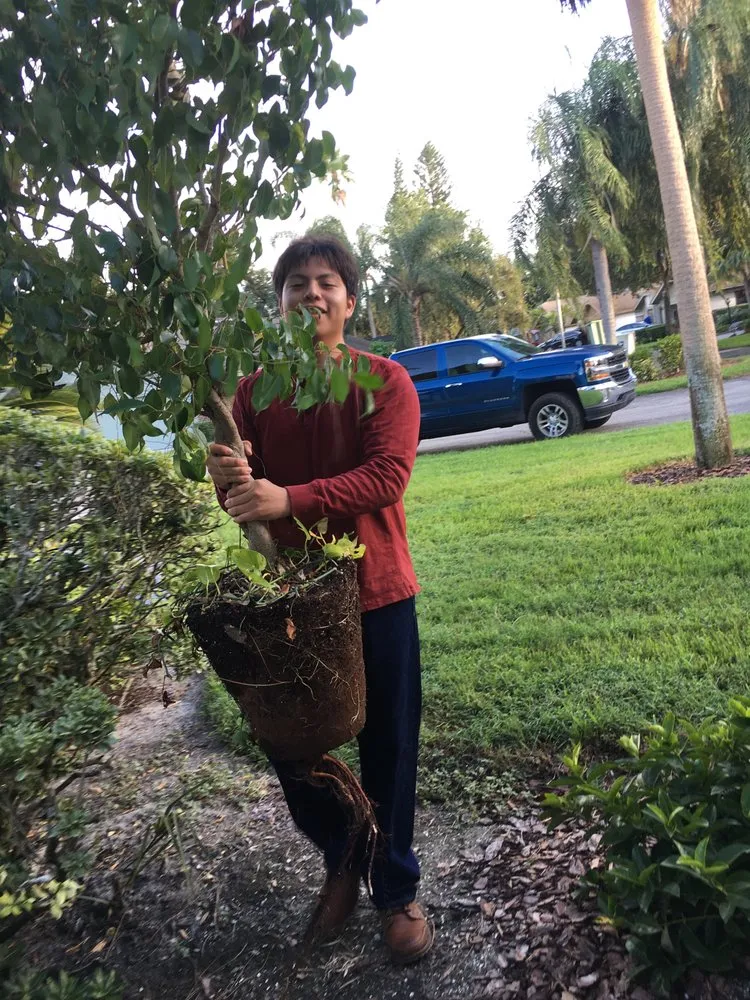 Reliable yard maintenance in Sarasota, FL - H2GROW Irrigation and Landscape Solutions