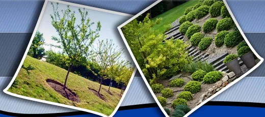 Affordable landscaping services in Sugarloaf, CA by H2O Irrigation And Landscape Solutions